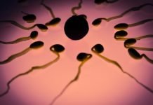 Ovulation