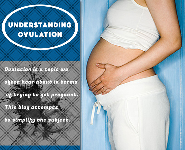 Understanding Ovulation Food N Health 3952