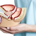 kegel pelvic floor muscle exercise