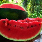 watermelon a natural viagra