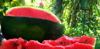 watermelon a natural viagra