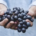 Are Organic Foods More Nutritious?