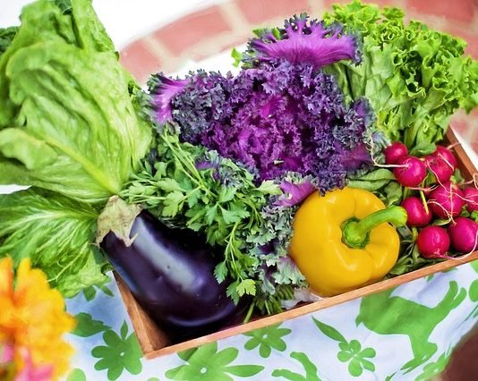 Are Organic Foods Safer?