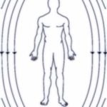 magnetic-field-human-body