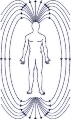 magnetic-field-human-body sleeping position