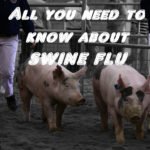 swin flu all u need to know