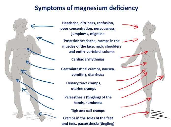 Epsom Salt Bath & Importance of Magnesium level in body Food N Health