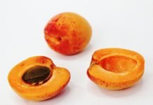 Apricot kernels for cancer – quackery or cure?