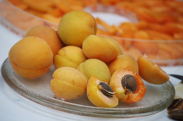 Cure cancer with the amygdaline from apricot kernel