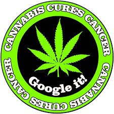 cannabis cures cancer