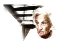 alzheimer's prevention diet