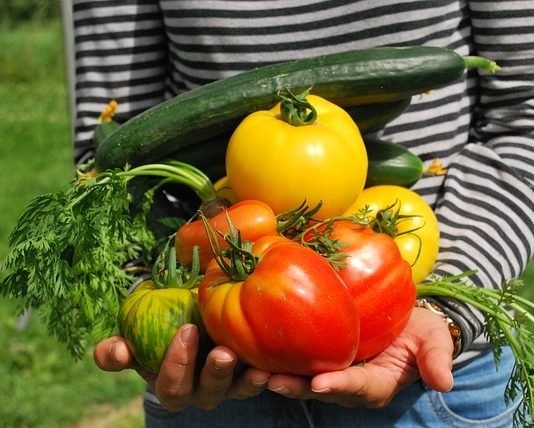 Reasons To Grow Your Own Vegetables Growing your own vegetables
