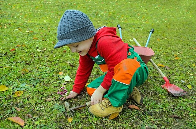 Health Benefits of Gardening