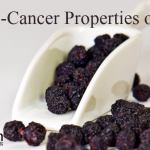 Aronia could boost standard cancer treatment