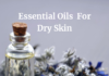 I Fell In Love With These Essential Oils For Dry Skin How to use the essential oils for dry skin