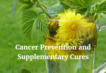 Cancer Prevention and Supplementary Cures