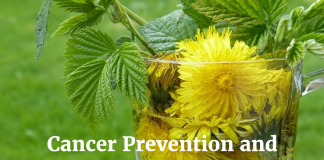 Cancer Prevention and Supplementary Cures