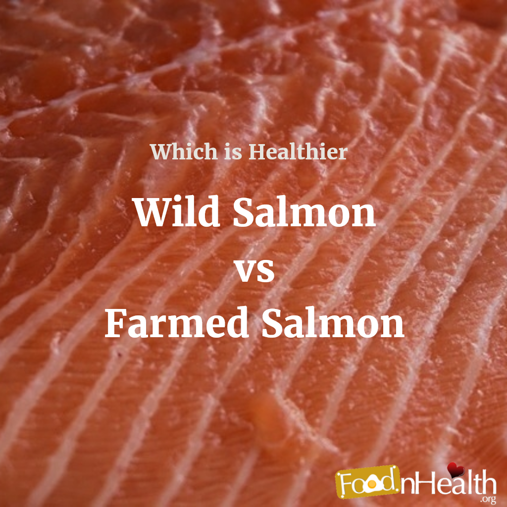 Farmed vs. Wild Salmon