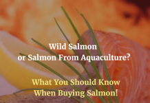 Wild vs Farmed Salmon - Can Some Fish be Bad For You?