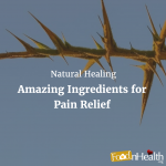 Natural Healing – Amazing Ingredients for Pain Relief