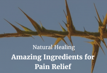 Natural Healing – Amazing Ingredients for Pain Relief