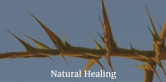 Natural Healing – Amazing Ingredients for Pain Relief