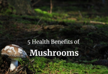 5 Health Benefits of Mushrooms Mushrooms: Nutritional value and health benefits