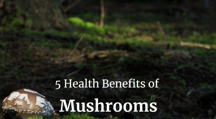 5 Health Benefits of Mushrooms Mushrooms: Nutritional value and health benefits