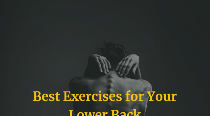 Best Exercises for Your Lower Back