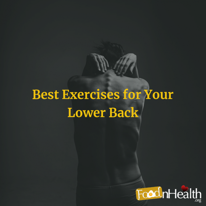 Best Exercises for Your Lower Back