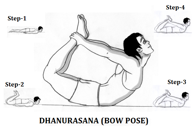 Bow Pose or Dhanurasana