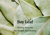 Bay Leaf - Strong Remedy for Health and Beauty