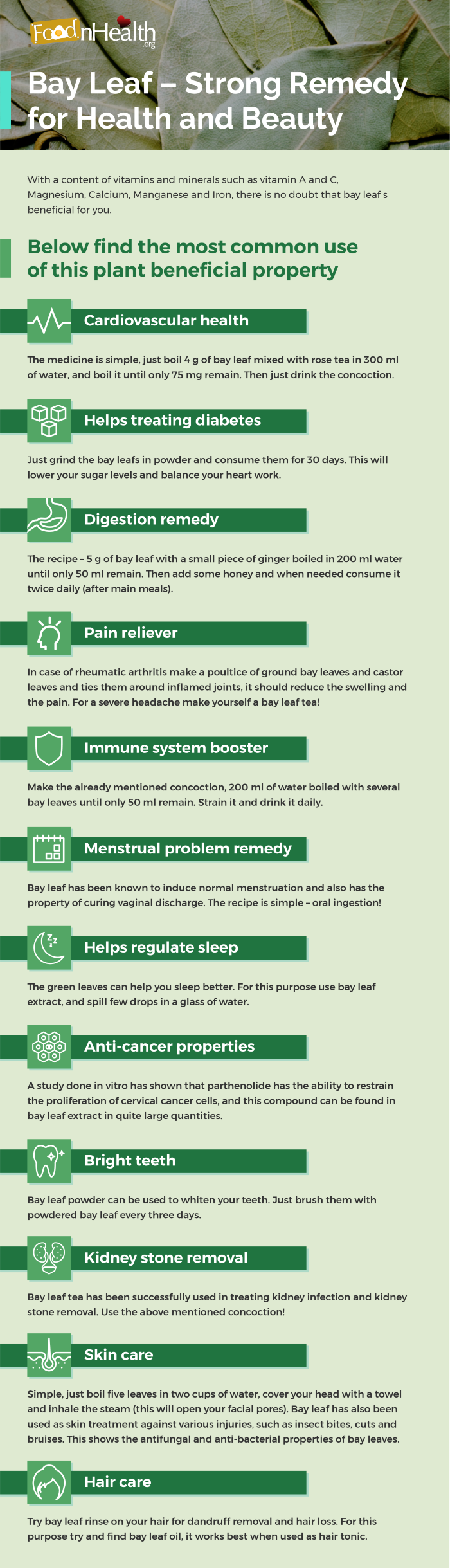 Bay Leaf Strong Remedy For Health And Beauty Food N Health