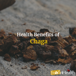 Chaga mushrooms’ healing properties