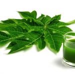 Juice of papaya leaves