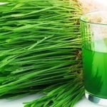 wheatgrass-juice