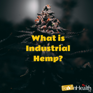 What Is Industrial Hemp? – A Comprehensive Guide To Industrial Hemp ...