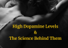 The Science Behind High Dopamine Levels What is Dopamine and How Does It Affect you?