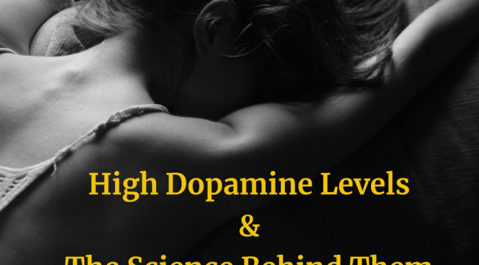 The Science Behind High Dopamine Levels What is Dopamine and How Does It Affect you?
