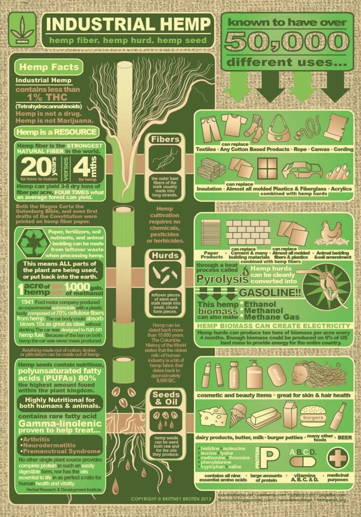 Difference between Industrial Hemp and Cannabis