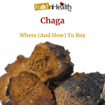 Best Chaga Supplement