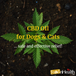 Move Over People: Why Pet Owners Are Giving CBD OIl to Their Dogs & Cats CBD for Dogs & Cats: Hemp Oil Use