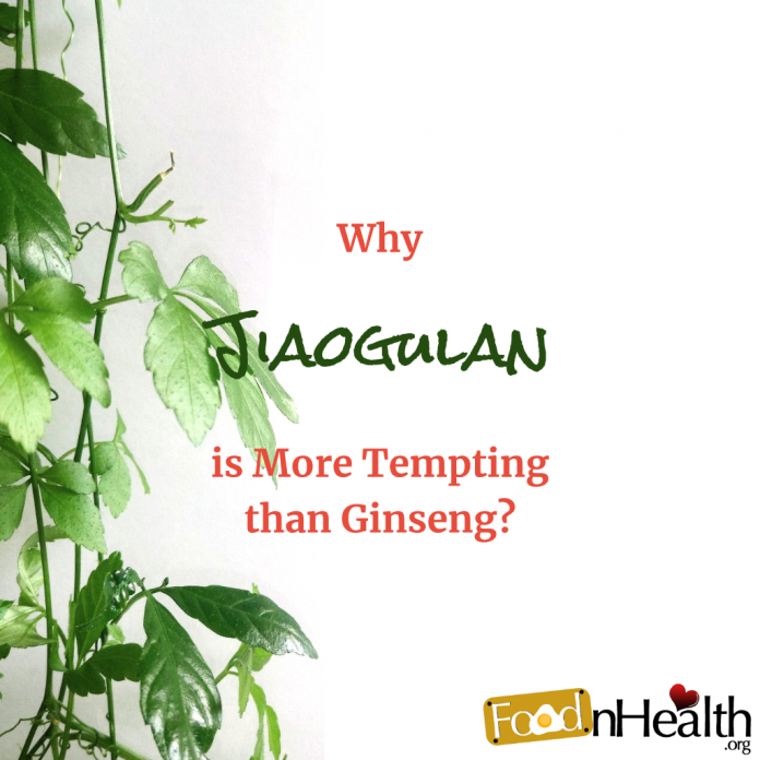 The Health Benefits of Wildcrafted Jiaogulan