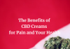 The Benefits of CBD Creams for Pain and Your Health