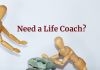 7 Things to Look for in a Life Coach Life Coaching: Who Needs It?