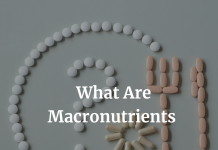 What Are Macronutrients And What Do They Do? What Are Macronutrients and Why Are They Important