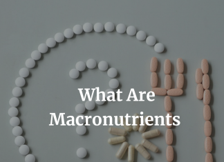 What Are Macronutrients and Why Are They Important