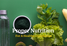 The Importance of Good Nutrition