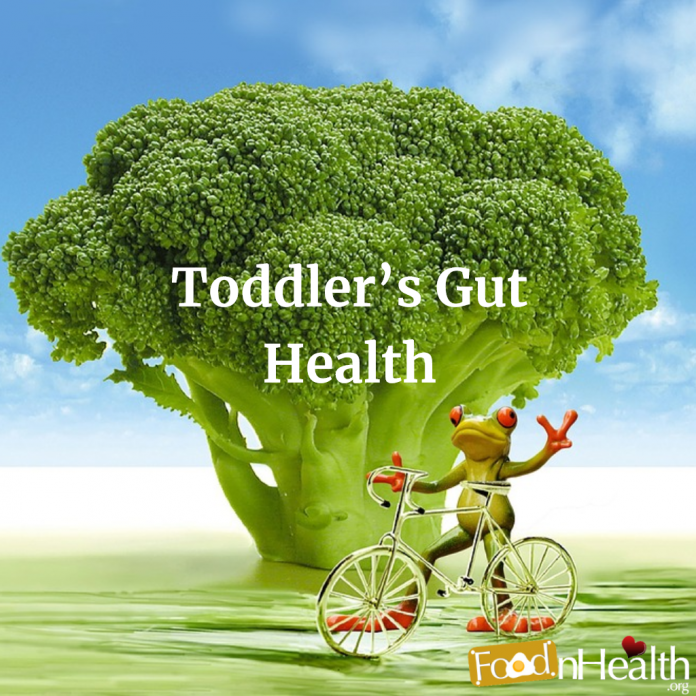 Get your child's gut health on track by following these 6 simple steps