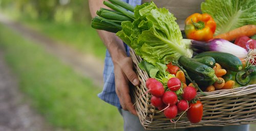 Benefits of Organic Food